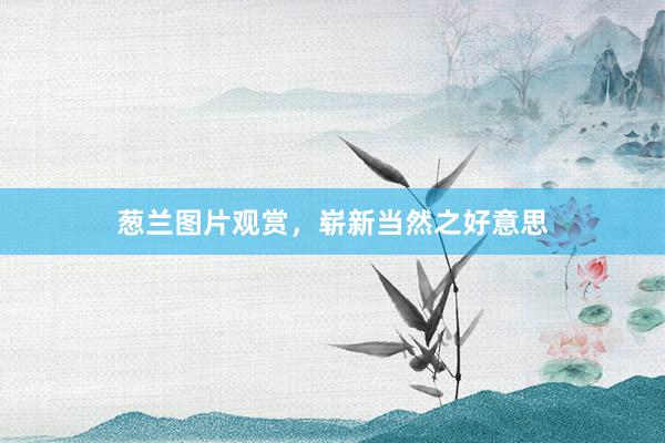 葱兰图片观赏，崭新当然之好意思