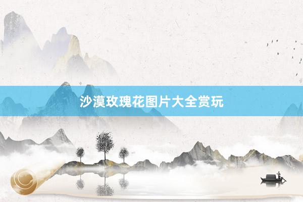 沙漠玫瑰花图片大全赏玩