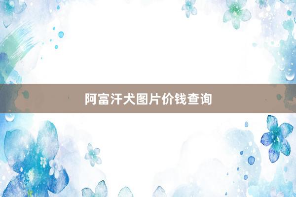 阿富汗犬图片价钱查询